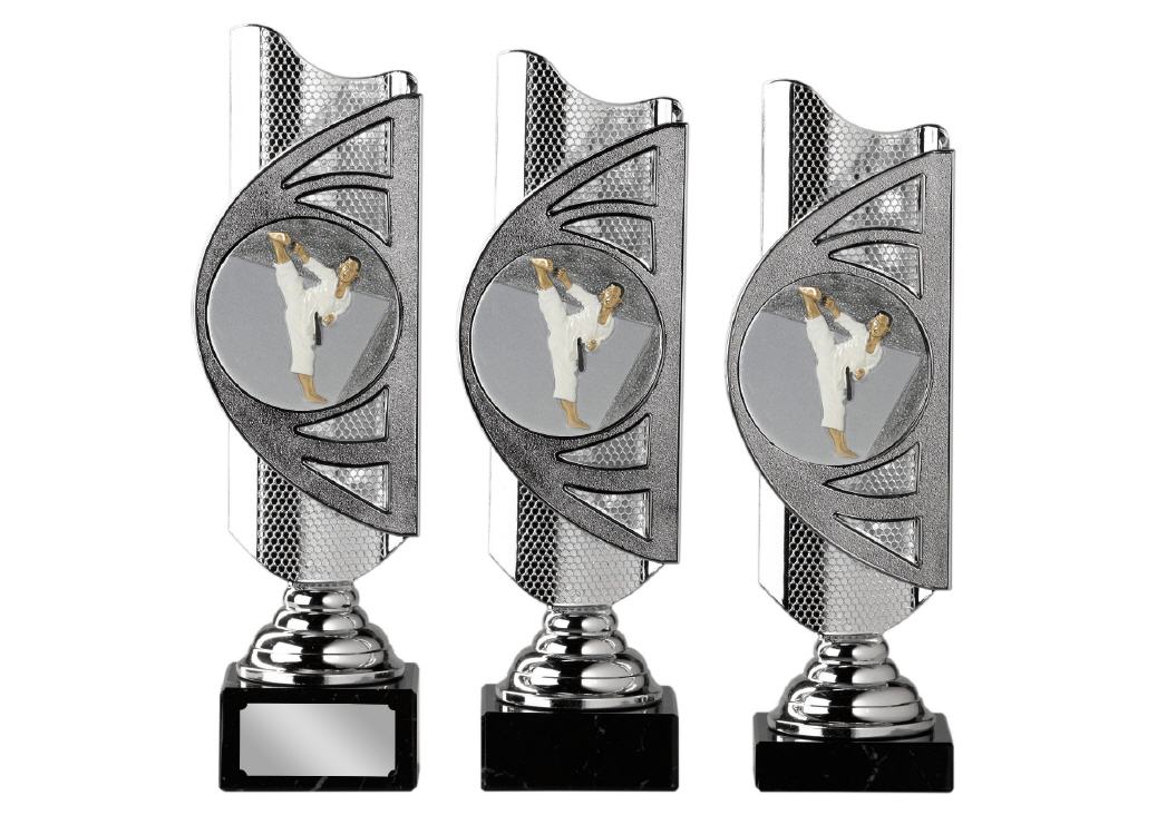 Trophy KARATE Jupiter silber Serie