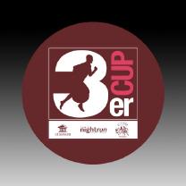 LOGO Emblem Aufkleber 25mm