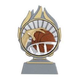 Trophäe BASKETBALL 2013