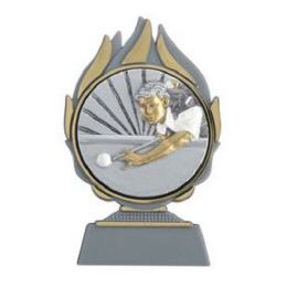 Trophäe BILLARD 2013
