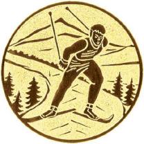 SKI-LANGLAUF skating (S134)