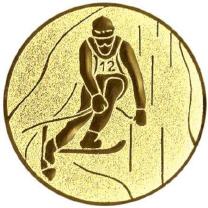 SKI-SLALOM (S104)