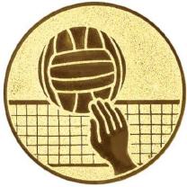 VOLLEYBALL (S017)