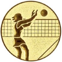 VOLLEYBALL Damen (S123)