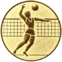 VOLLEYBALL Herren (MA019)